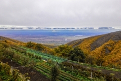 P_20161101_125741_HDR